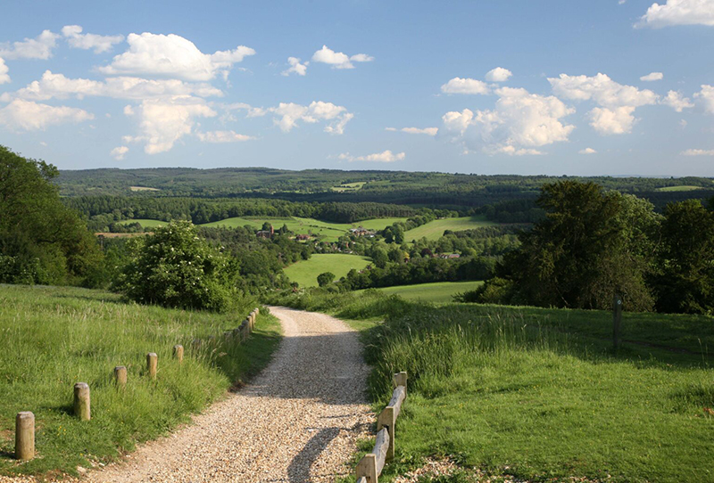 Newlands Corner view